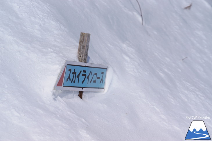 新得町・新得山スキー場 記録的な大雪でスキー場開設以来、最大積雪に到達?!